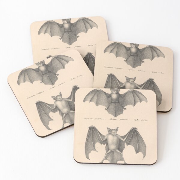 Item preview, Javan slit-faced bat (Nycteris javanica) and reddish-brown lip bat (Noctilis rufus) from "Natural History and Illustrations of Mammals" by Heinrich Rudolf Schinz, 1824. designed and sold by mariapopova.