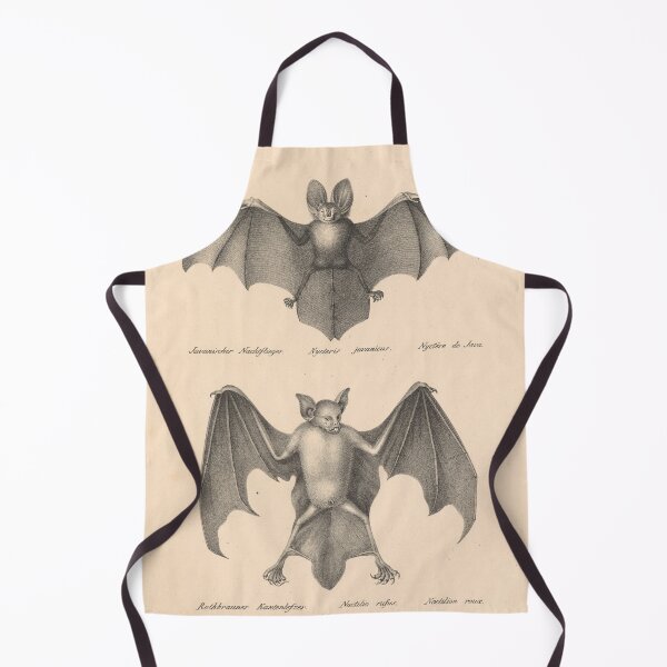 Item preview, Javan slit-faced bat (Nycteris javanica) and reddish-brown lip bat (Noctilis rufus) from "Natural History and Illustrations of Mammals" by Heinrich Rudolf Schinz, 1824. designed and sold by mariapopova.