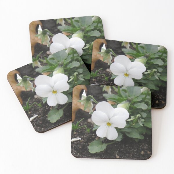 Item preview, Snow white pansy designed and sold by greentiger1.