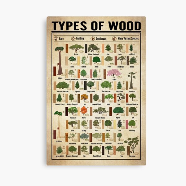 Item preview, Common Wood Types Infographic for Nature Lovers designed and sold by VizCraft.