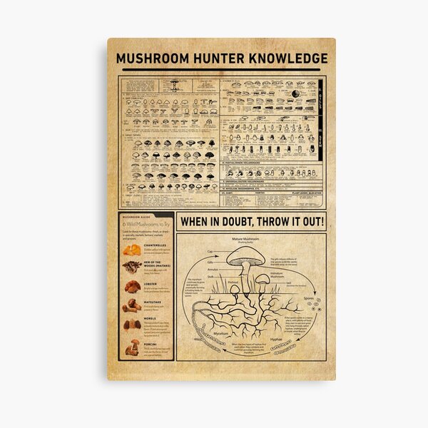 Item preview, Mushroom Hunter Knowledge Infographic for Foraging Lovers designed and sold by VizCraft.