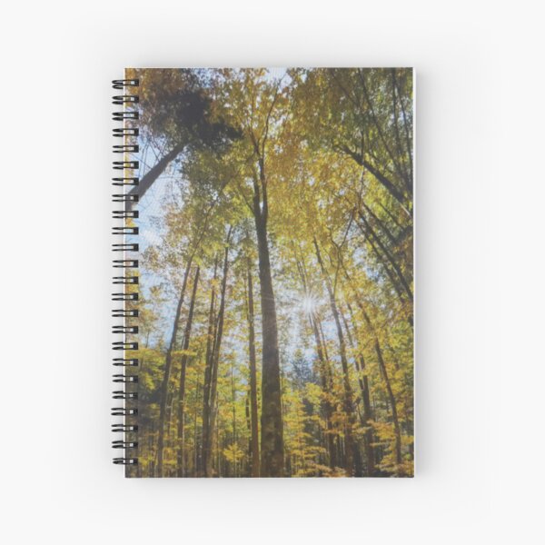 Artikel-Vorschau von Herbstlandschaft im Wald, designt und verkauft von BerhitunGayo.