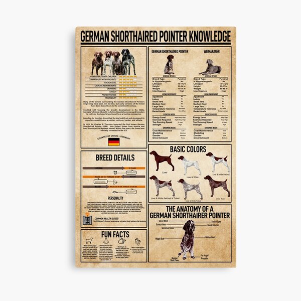 Item preview, Pointer Breed Knowledge Infographic for Dog Enthusiasts designed and sold by VizCraft.