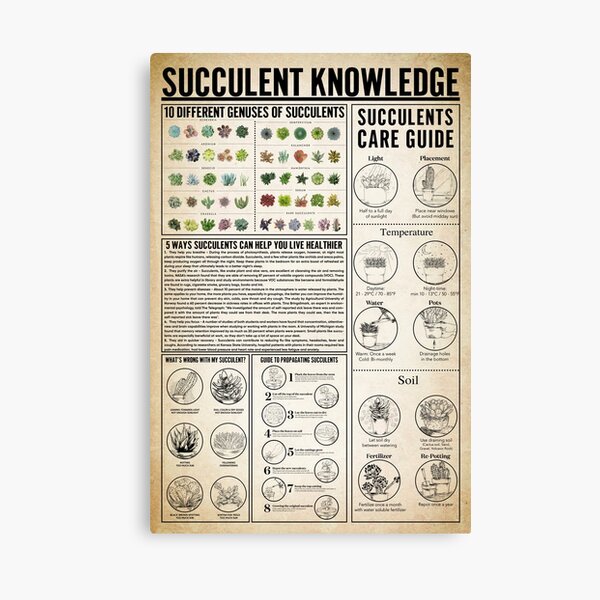 Item preview, Succulent Knowledge Infographic for Plant and Garden Lovers designed and sold by VizCraft.