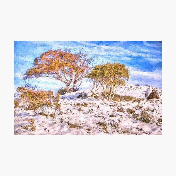 Item preview, Chilly Gums - Snowy Mountains - Australia designed and sold by Salieri1627.