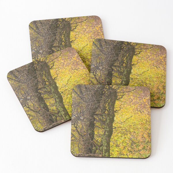 Item preview, Autumn Glow, - Blackheath,australia designed and sold by Salieri1627.