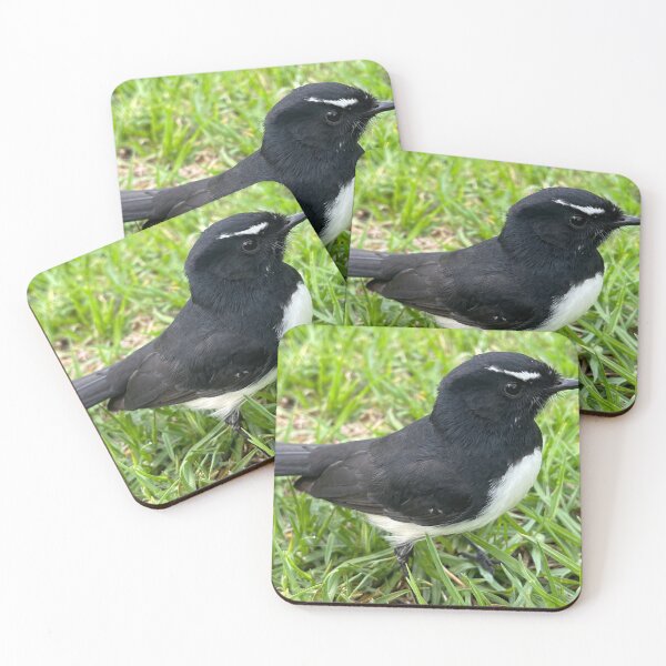 Item preview, Willy Wagtail designed and sold by Kymbo.