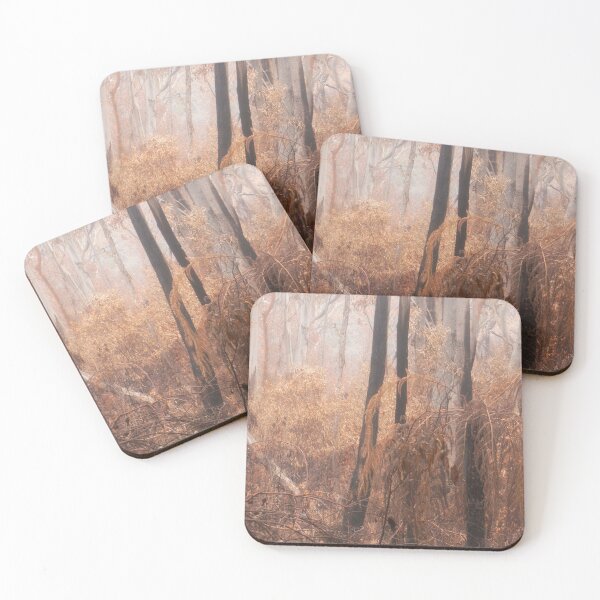 Item preview, Rejuvination -Survivors of bushfires - Blue Mountains , Australia designed and sold by Salieri1627.