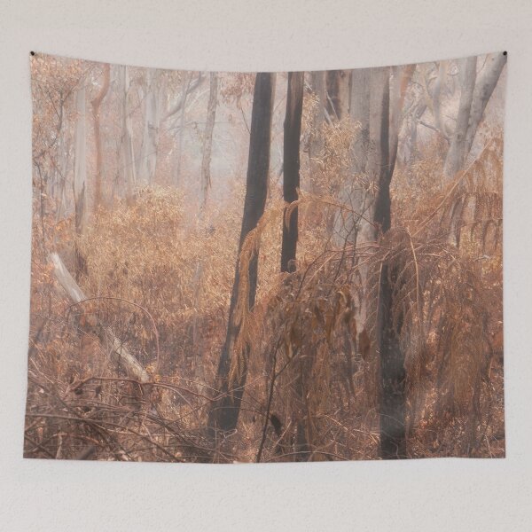 Item preview, Rejuvination -Survivors of bushfires - Blue Mountains , Australia designed and sold by Salieri1627.