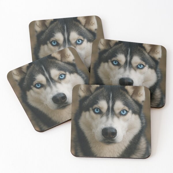 Item preview, Blue eyed dog siberian husky designed and sold by Silverluuna.