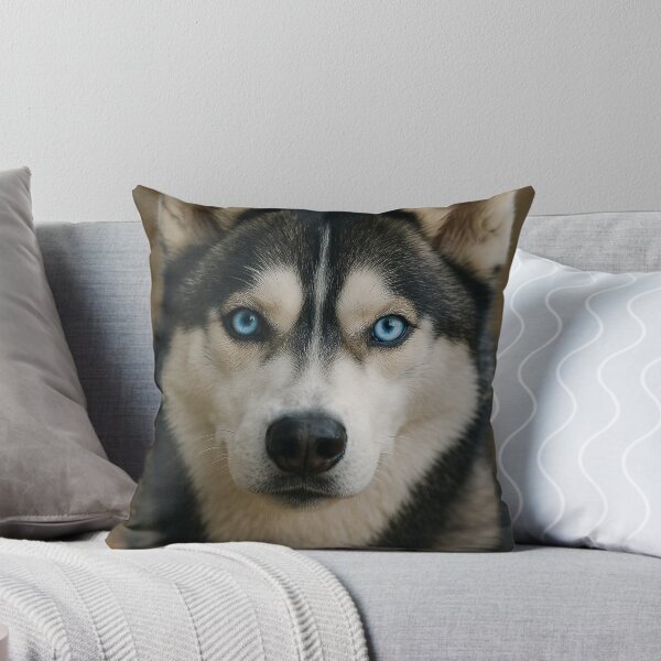 Item preview, Blue eyed dog siberian husky designed and sold by Silverluuna.