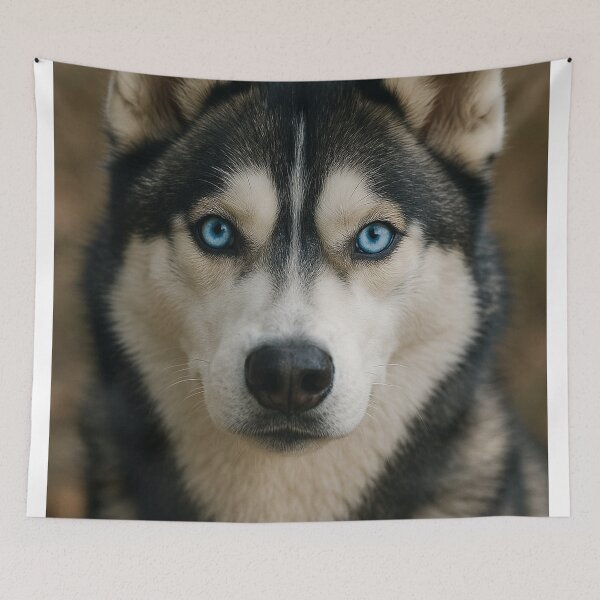 Item preview, Blue eyed dog siberian husky designed and sold by Silverluuna.