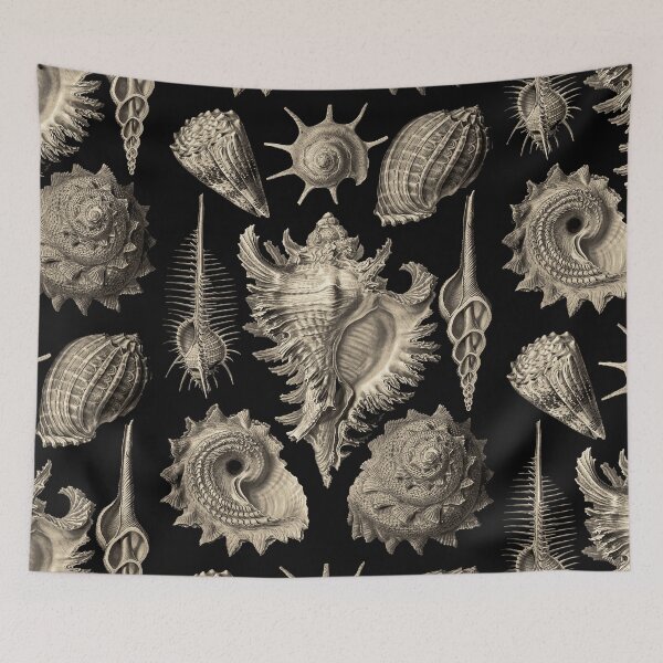 Item preview, Ernst Haeckel Prosobranchia Sea Shells designed and sold by aimeewilson.