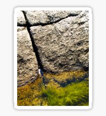 Natural Water Filters Sticker