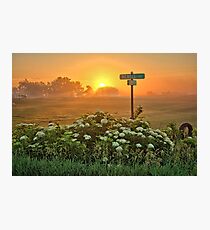 Elderberry Corner Photographic Print