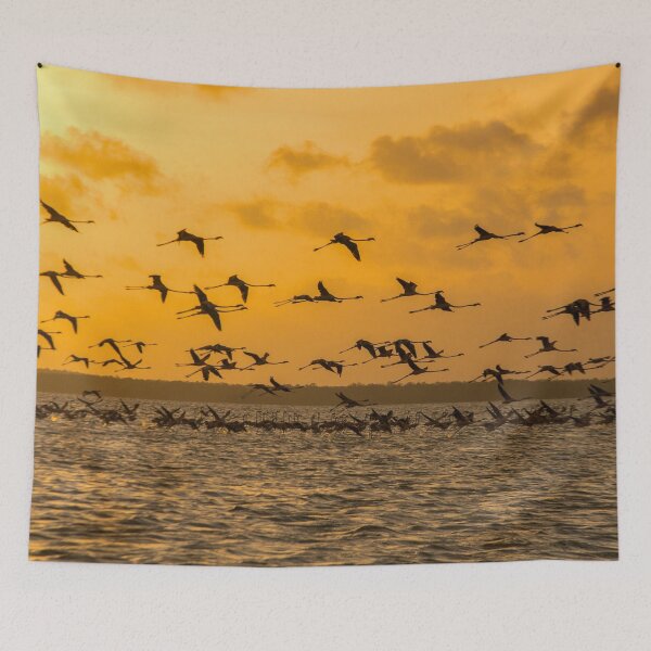 Item preview, Flying flamingoes at sunset designed and sold by Photopat.