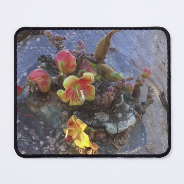 Item preview, Blooming on home ground designed and sold by RosJoy.