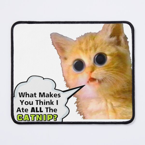 Item preview, catnip cat big eyes logo designed and sold by VWscout2.