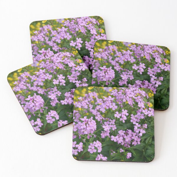 Item preview, Pink and yellows. Dame's gilliflower designed and sold by Jouko Lehto Photography.