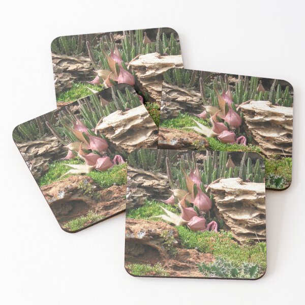 Item preview, Awesome combo's designed and sold by RosJoy.