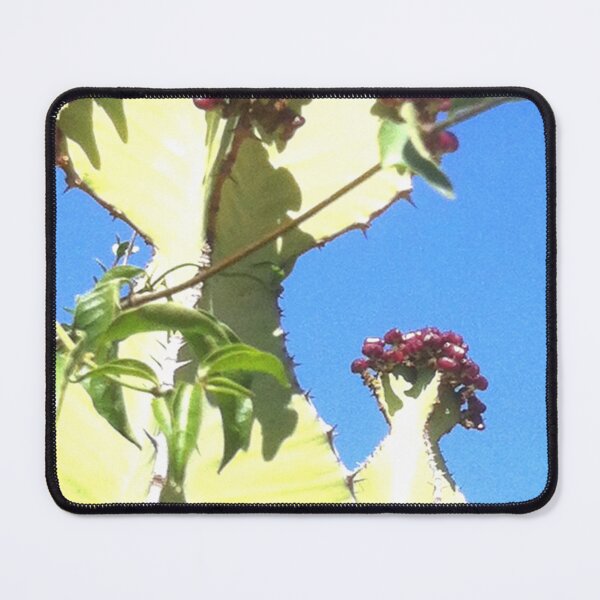 Item preview, You are crowned designed and sold by RosJoy.