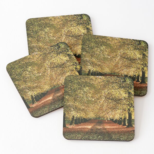 Item preview, Autumn Sunshine designed and sold by Murph's Images.