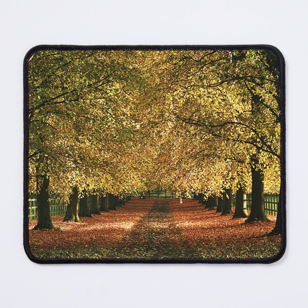 Item preview, Autumn Sunshine designed and sold by Murph's Images.