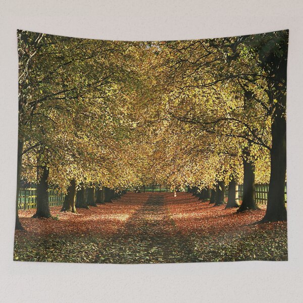 Item preview, Autumn Sunshine designed and sold by Murph's Images.