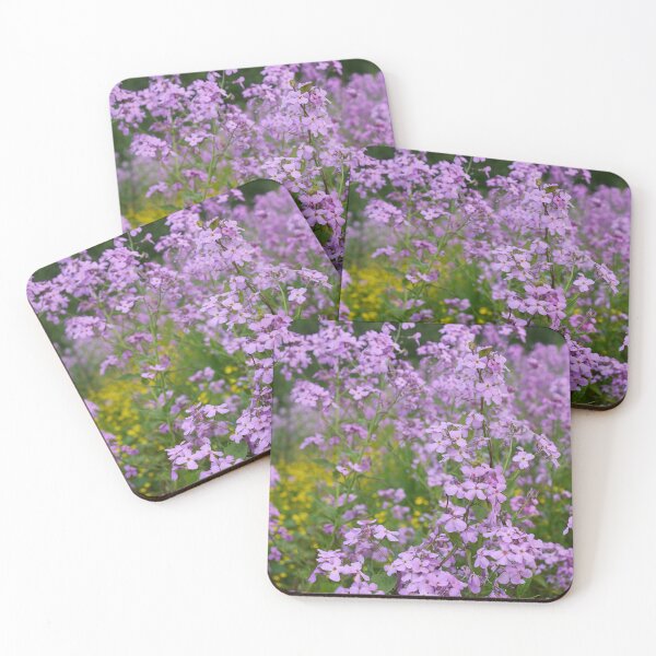 Item preview, Mother-of-the-evening. Dame's gilliflower designed and sold by Jouko Lehto Photography.