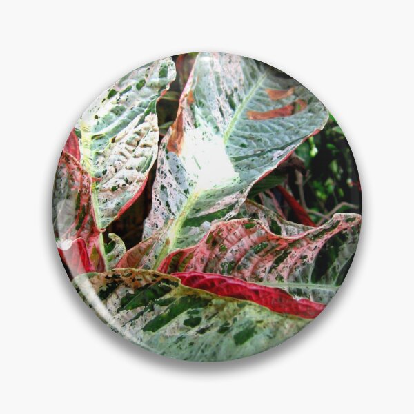Item preview, Leafing around designed and sold by RosJoy.