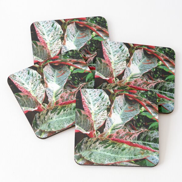 Item preview, Leafing around designed and sold by RosJoy.