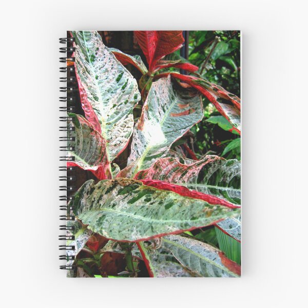 Item preview, Leafing around designed and sold by RosJoy.