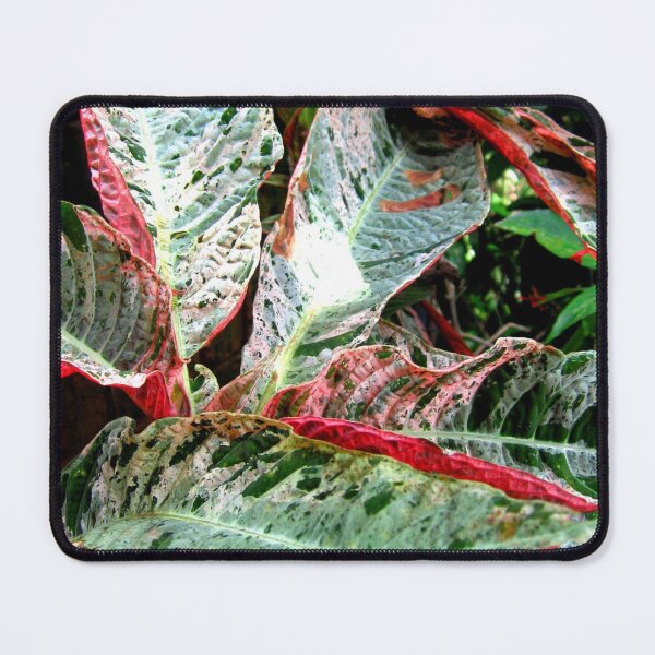 Item preview, Leafing around designed and sold by RosJoy.