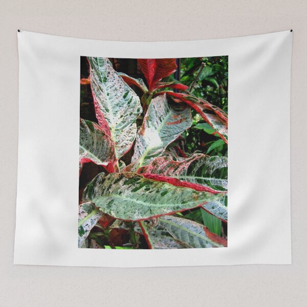 Item preview, Leafing around designed and sold by RosJoy.
