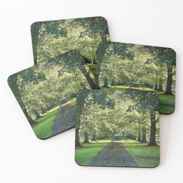 Item preview, Summer Sunshine designed and sold by Murph's Images.