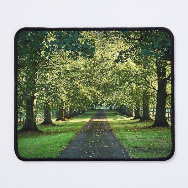 Item preview, Summer Sunshine designed and sold by Murph's Images.