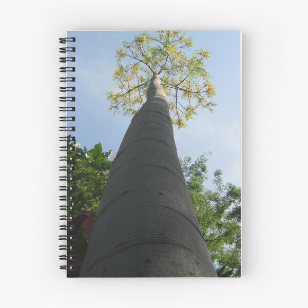 Item preview, Way up high...we bloom  designed and sold by RosJoy.
