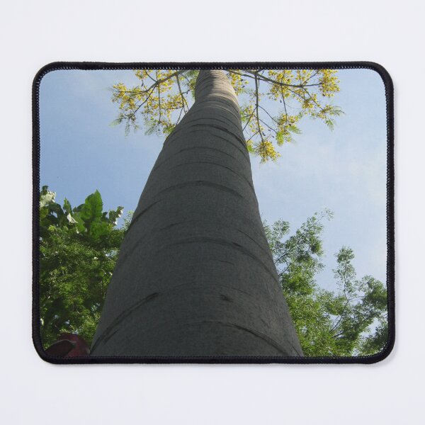 Item preview, Way up high...we bloom  designed and sold by RosJoy.