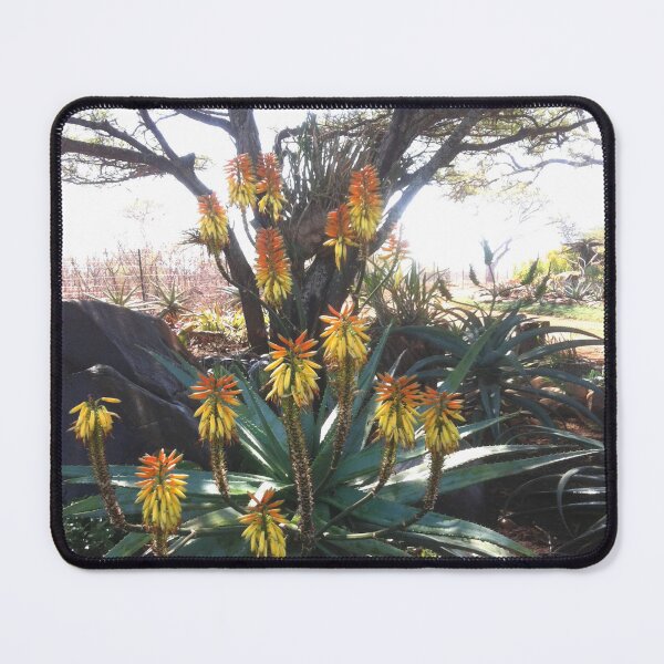 Item preview,  Aloe cheerful aloe designed and sold by RosJoy.