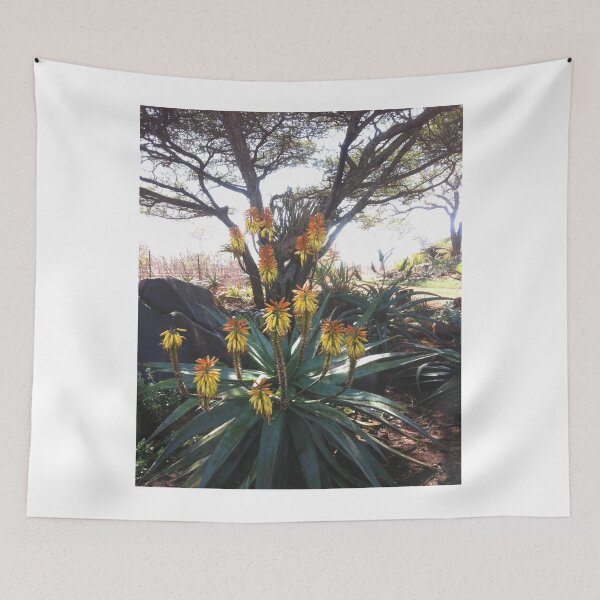 Item preview,  Aloe cheerful aloe designed and sold by RosJoy.