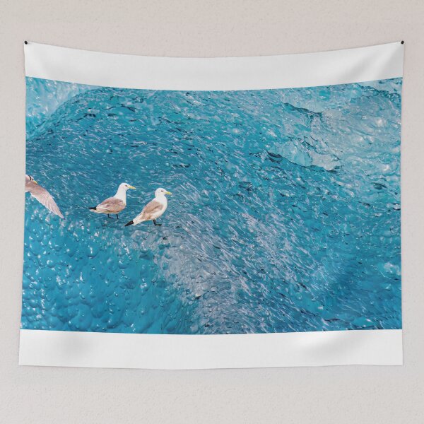 Item preview, Seagulls on blue ice, Endicott Arm, Alaska designed and sold by Steven Weeks.