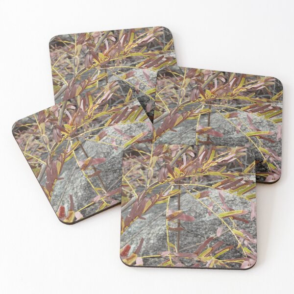 Item preview, What a colour combo designed and sold by RosJoy.