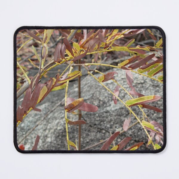 Item preview, What a colour combo designed and sold by RosJoy.