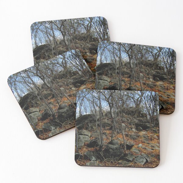 Item preview, I could observe for hours  designed and sold by RosJoy.