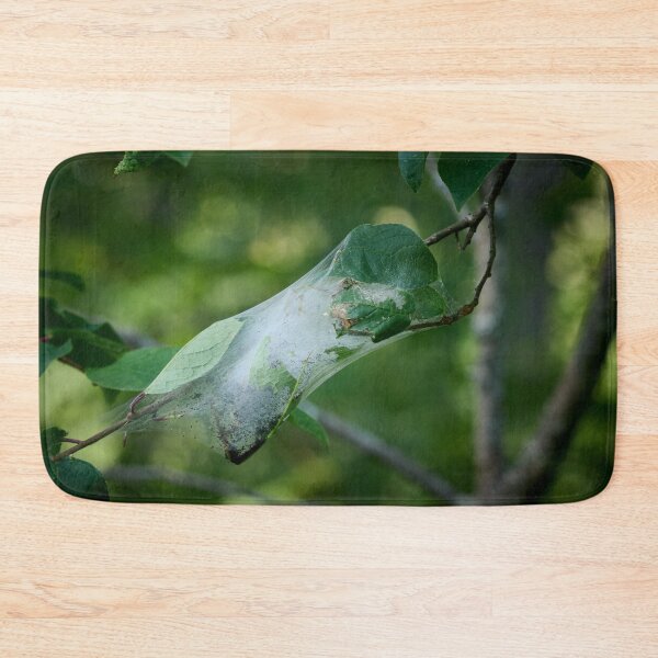 Item preview, Shelter for the future generations. Bird-cherry ermine designed and sold by Jouko Lehto Photography.