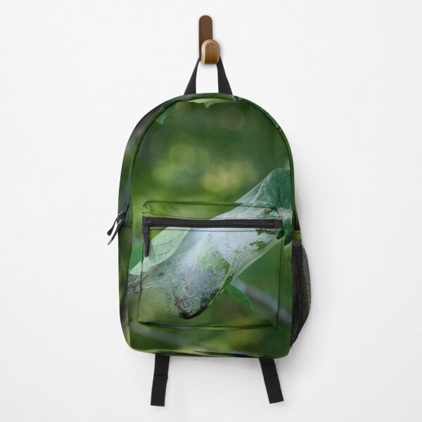 Item preview, Shelter for the future generations. Bird-cherry ermine designed and sold by Jouko Lehto Photography.
