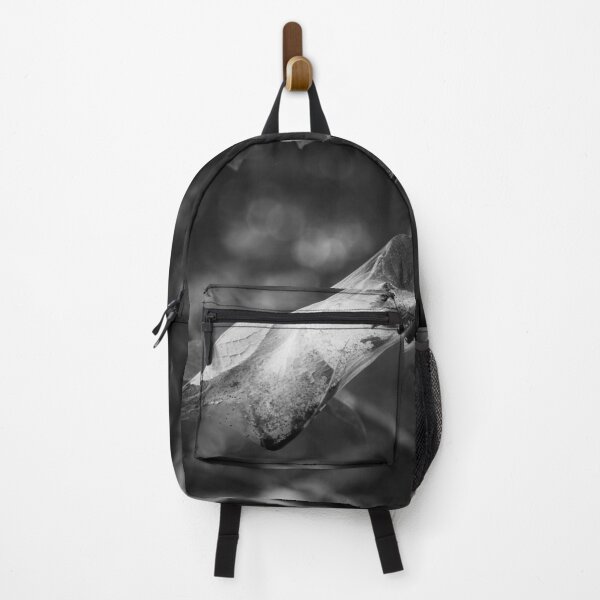 Item preview, Shelter for the future generations. Bird-cherry ermine bw designed and sold by Jouko Lehto Photography.