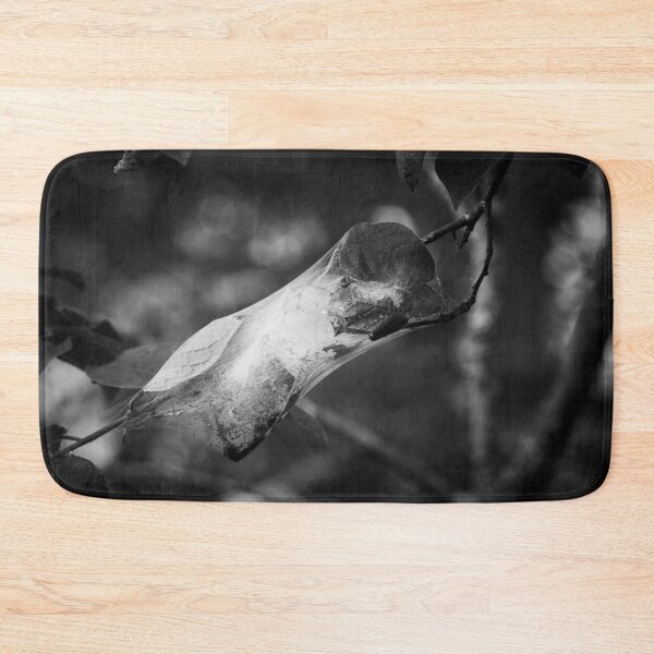 Item preview, Shelter for the future generations. Bird-cherry ermine bw designed and sold by Jouko Lehto Photography.