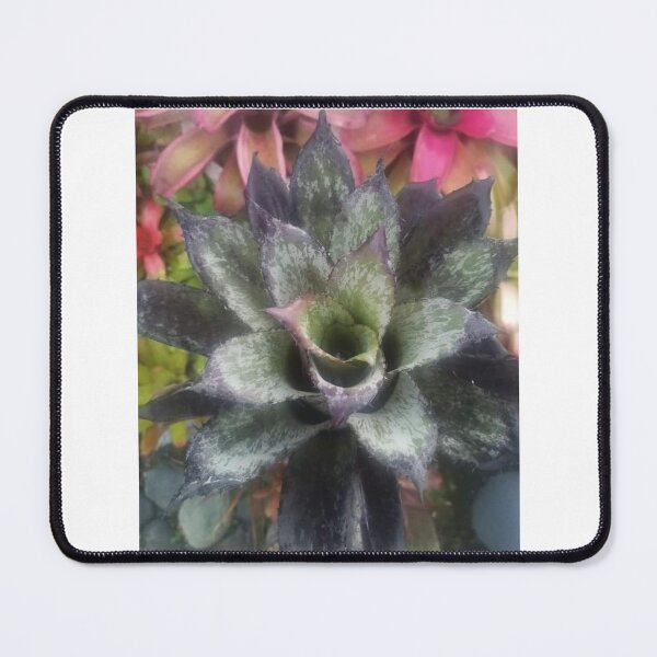 Item preview, Brom brillant designed and sold by RosJoy.