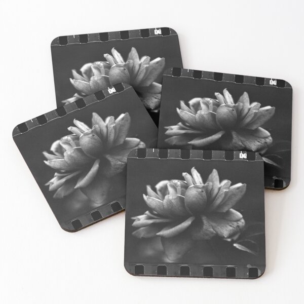 Item preview, Analogue photo from old vinatage camera flower sprocket designed and sold by fotopan.